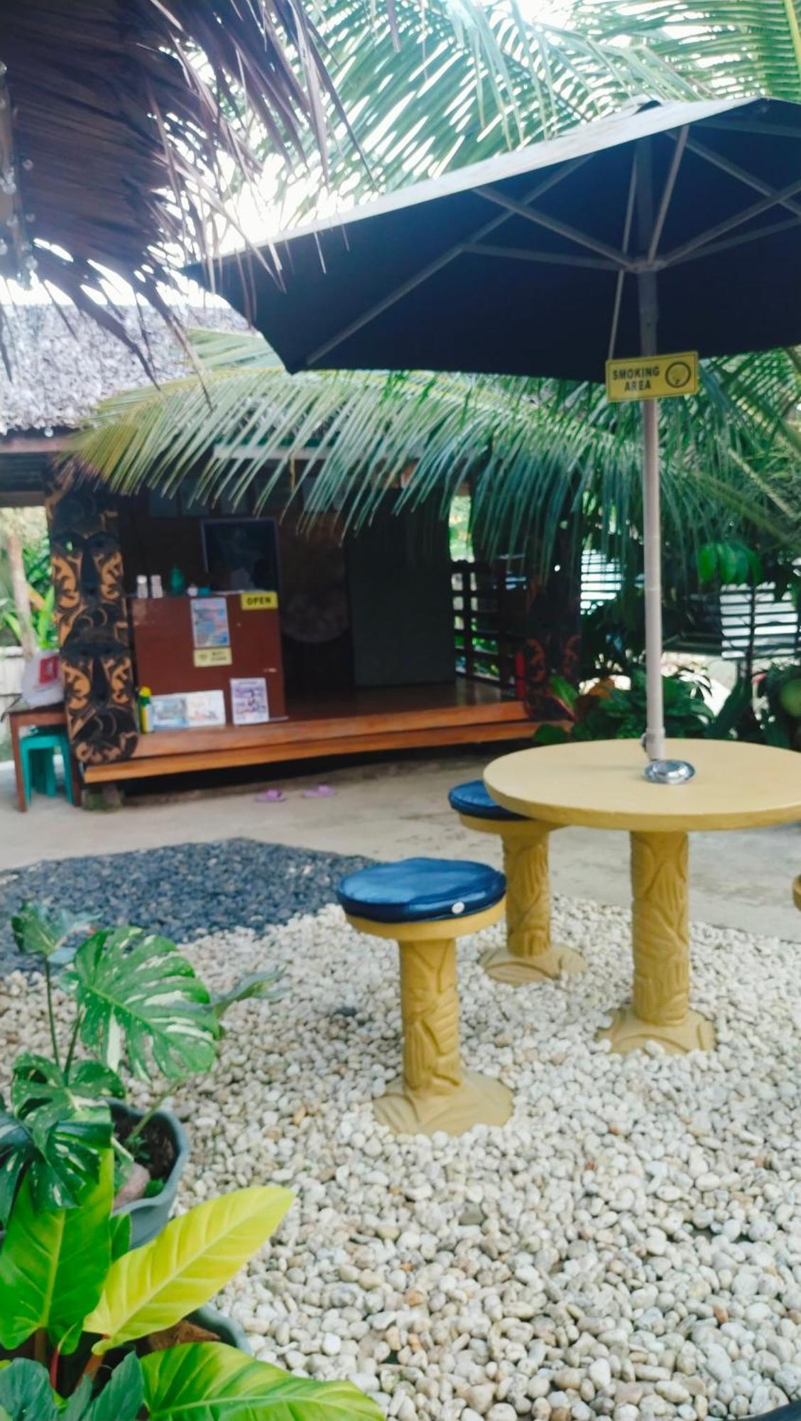 Ziah'S Guest House San Vicente  Rom bilde